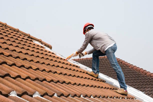 Best Roof Leak Repair  in Coon Rapids, IA