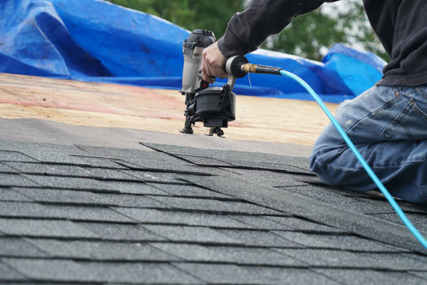 Best Chimney Flashing Repair  in Coon Rapids, IA